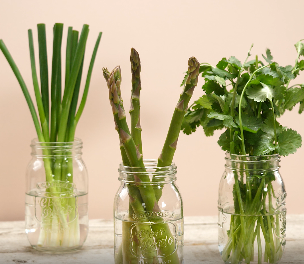 野菜の保存方法ぴたらファーム