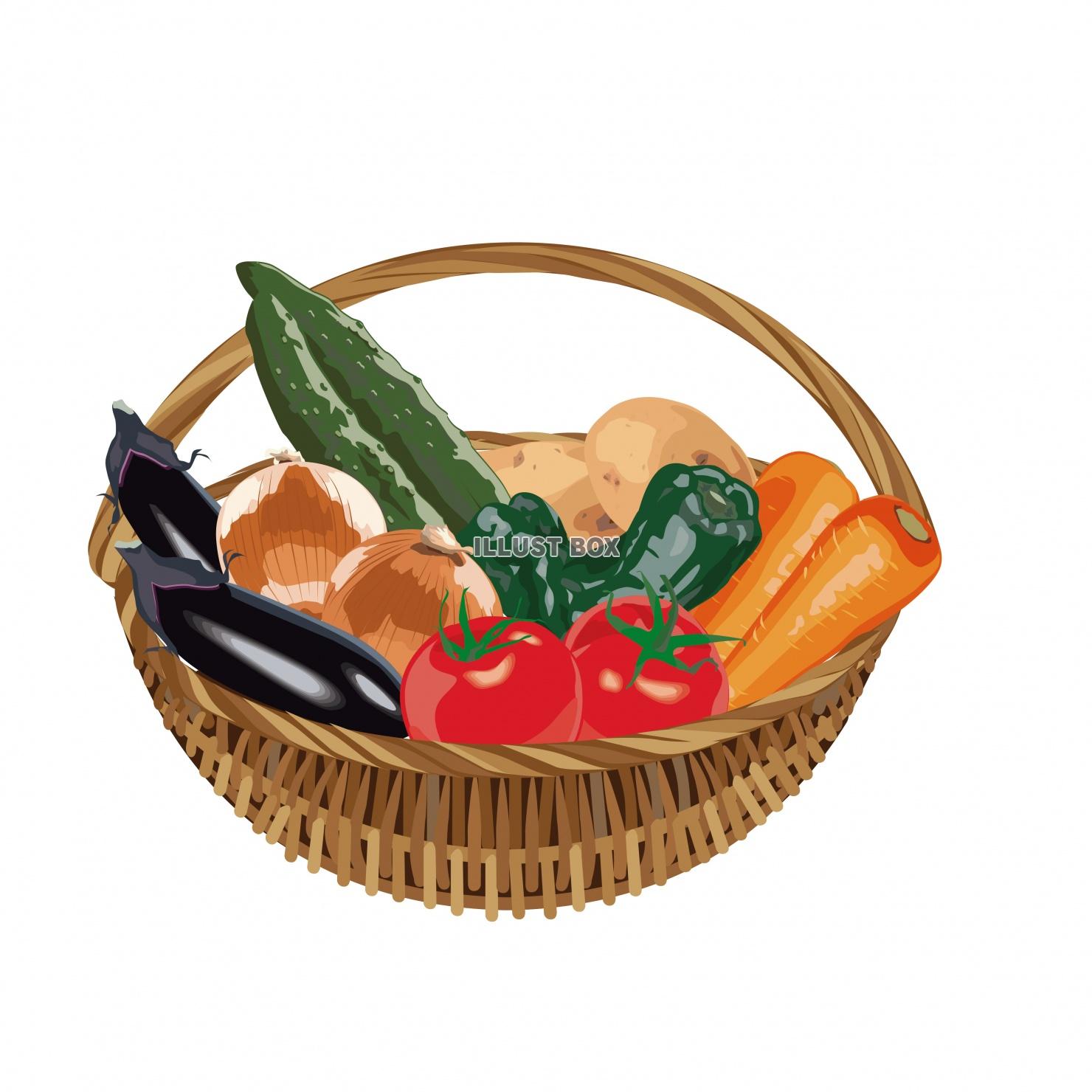 野菜のかご イラスト素材3113321- フォトライブラリ