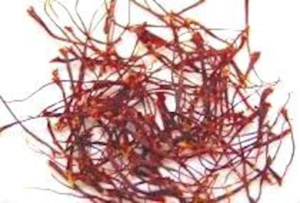 檀流クッキング サフランライスの作り方 目がハッとする覚醒するサフラン色がうつくしいレシピ兀兀記