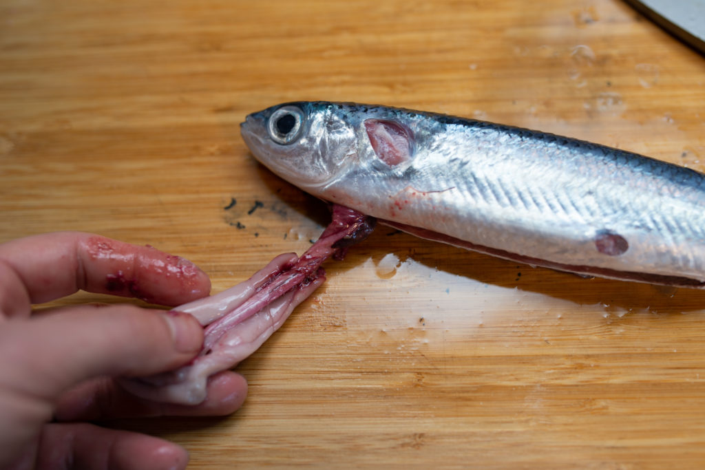 トビウオ 飛魚 とびうお の目利きと料理 : 旬の魚介百科