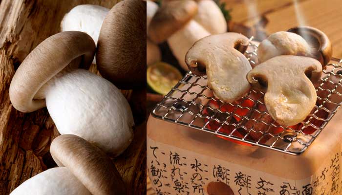 雪国 大粒丹波しめじ大パック 150g 瑞穂農林 の販売価格と購入店舗ものログ