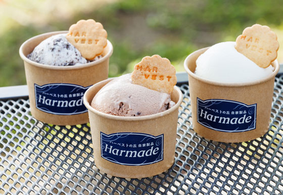 シルバニアファミリー」さつえい会からグルメ体験やクラフト体験まで！ 茨城県「シルバニアパーク」でスプリングフェスタ2024開催アニメ！アニメ