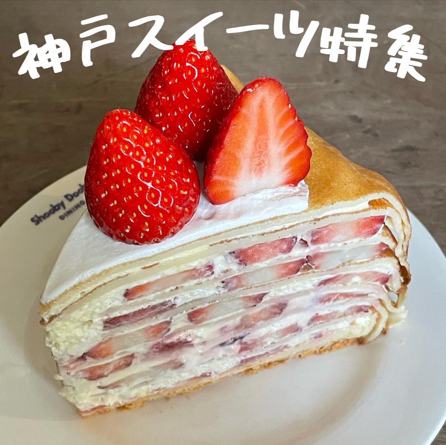 VISON ヴィソンのおすすグルメ 我が家で選んだグルメ5選 – 夫婦の幸せ見つけ旅