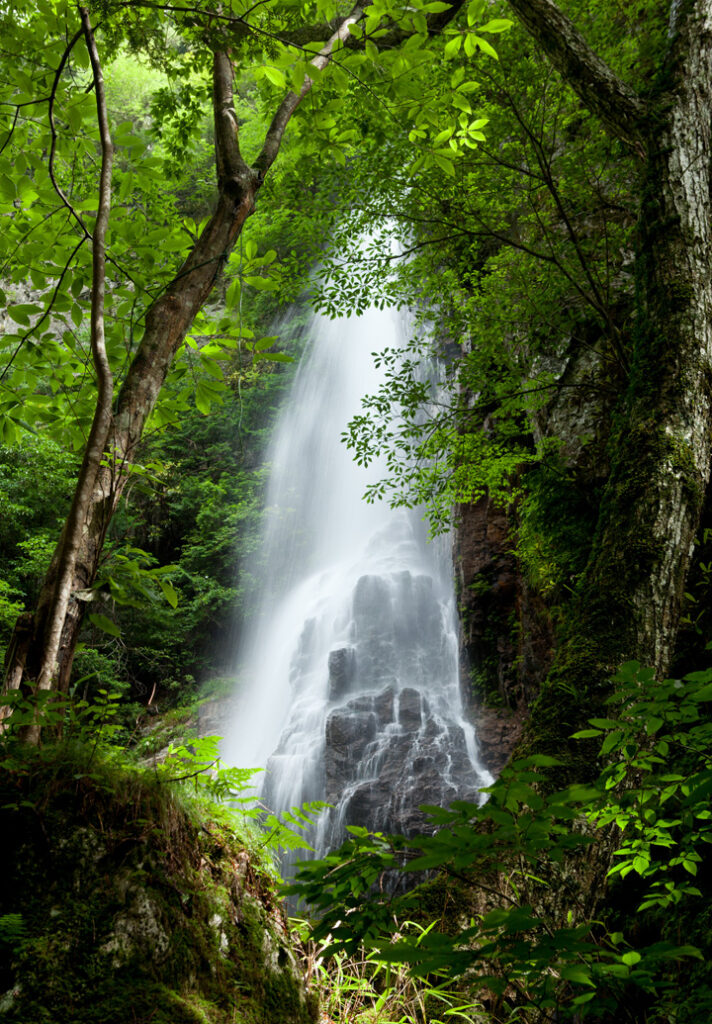 絵画 構図の考え方とパターン 2 構図の決め方のコツ画家 佐藤功