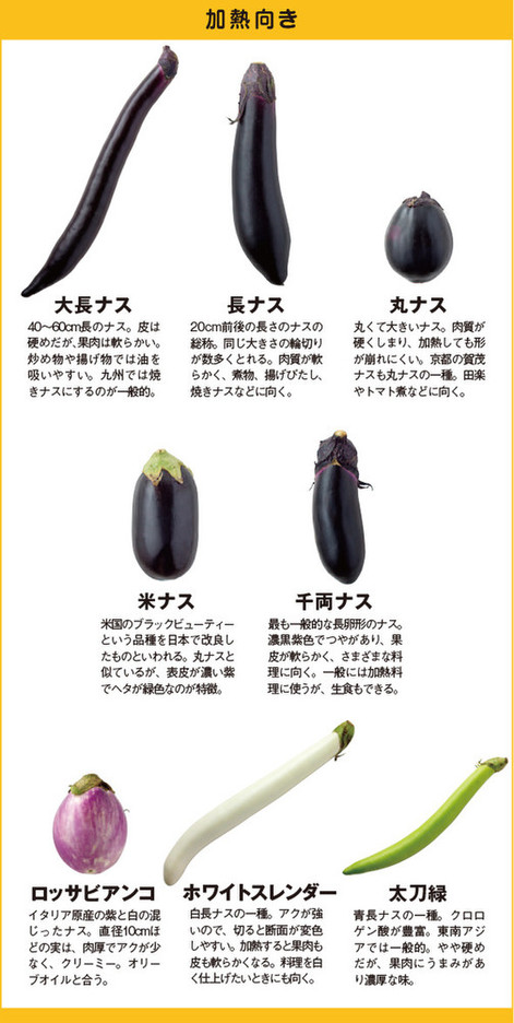 とろとろ食感がたまらない！見た目も魅力的な白ナス