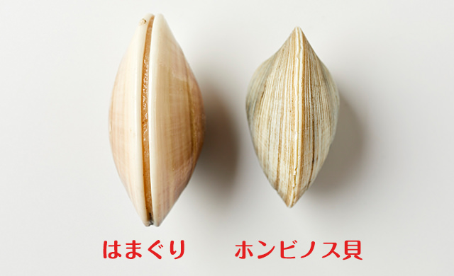 ホンビノス貝とハマグリの違いって何? 写真、見た目、食べた感想をお伝えします!まるっと千葉を知り尽くしたい♪