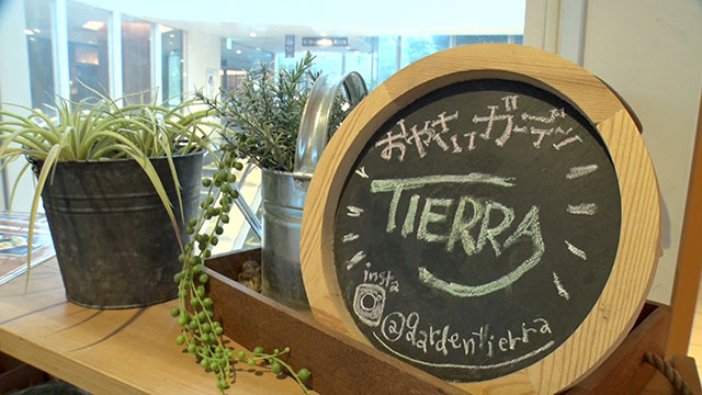 おやさいガーデン TIERRA ティエラ 阪急梅田店 茶屋町・中崎町・中津 イタリアン・フレンチ ＜ネット予約可＞ホットペッパーグルメ