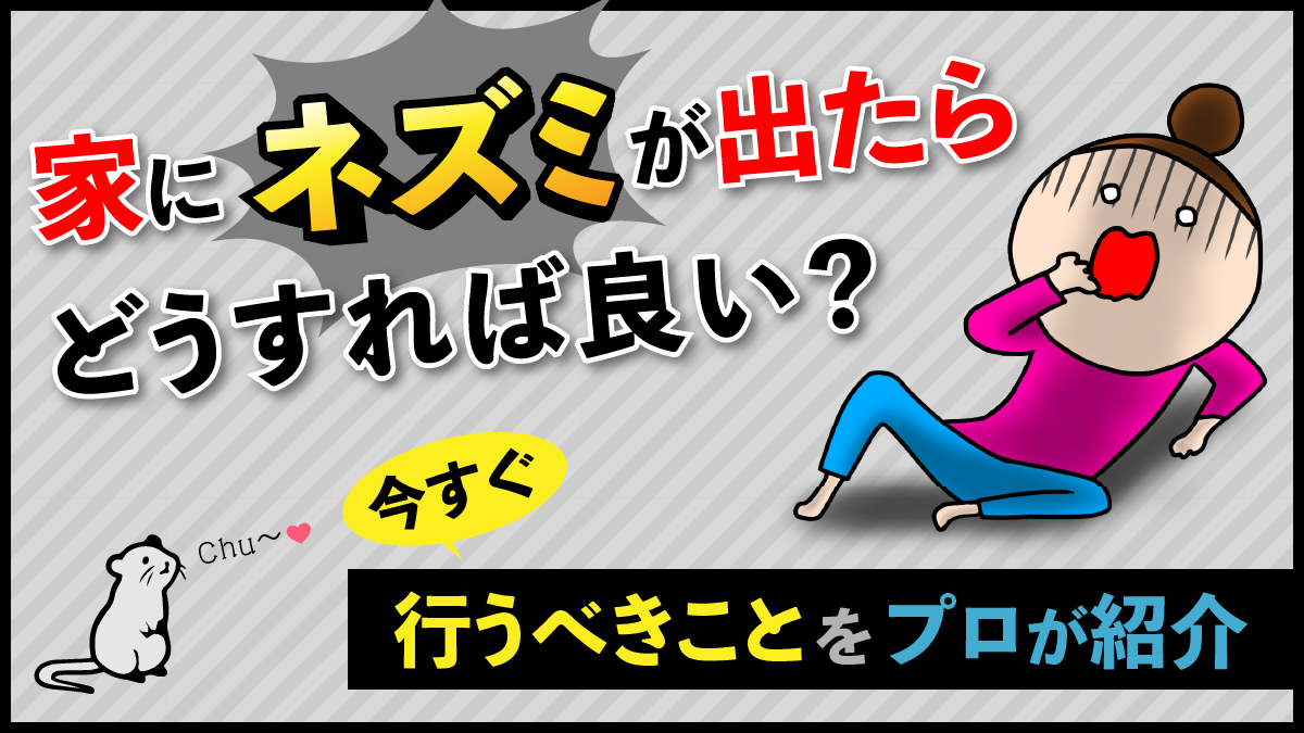 警戒心が強いクマネズミを確実に駆除する！有効な対策や予防法を徹底解説