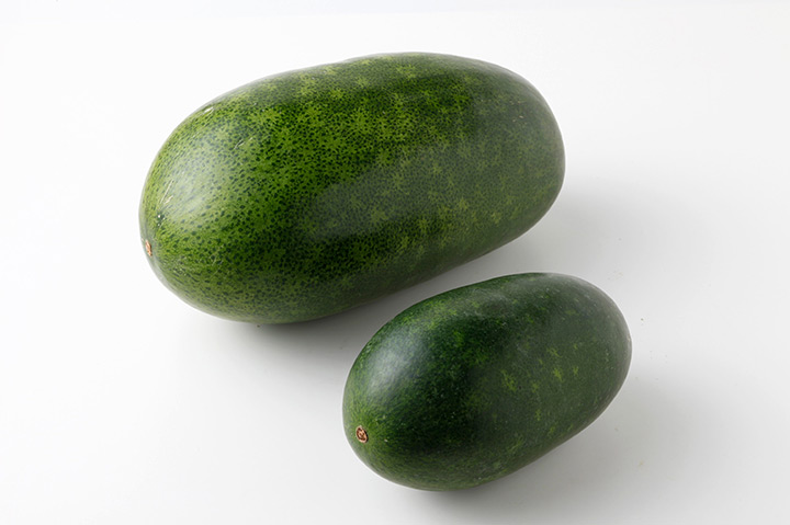 夏野菜 冬瓜 とうがん は家庭でも栽培できる！ 育て方のポイントやおすすめの食べ方をご紹介GardenStoryガーデンストーリー