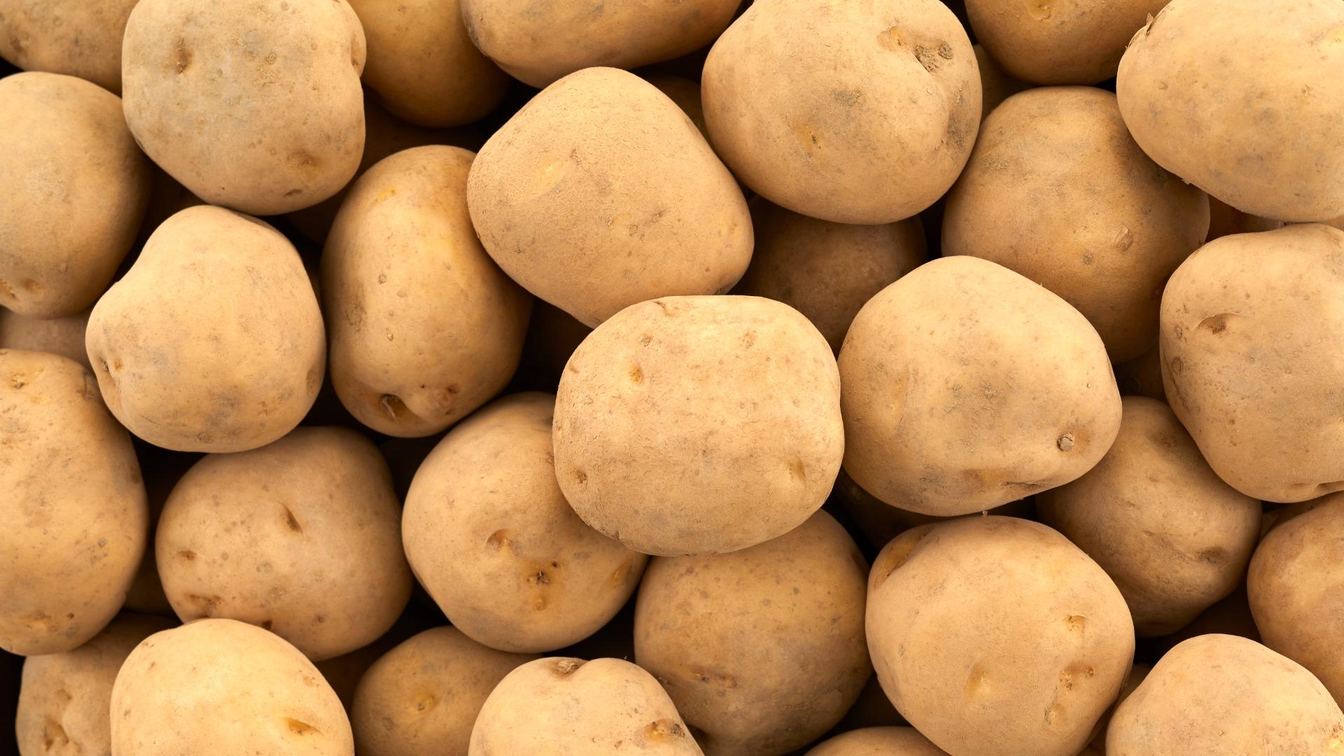 ジャガイモの栄養価とその特徴を詳しく解説するブログ