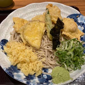 若菜そば十三店でネギラーメンとネギラーメンと鶏天で一杯。Phantom Gourmet 時々 Bike ZX-10RtypeJK