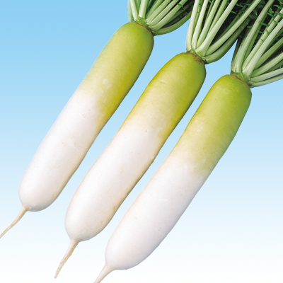 透明になってる大根、食べられるよ。島田春美 ママのみかたひだまりキッチン はるみlab