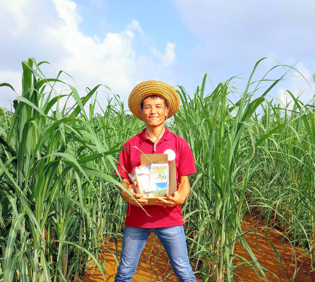沖縄本島におけるさとうきび生産の維持・拡大に向けた取り組み農畜産業振興機構