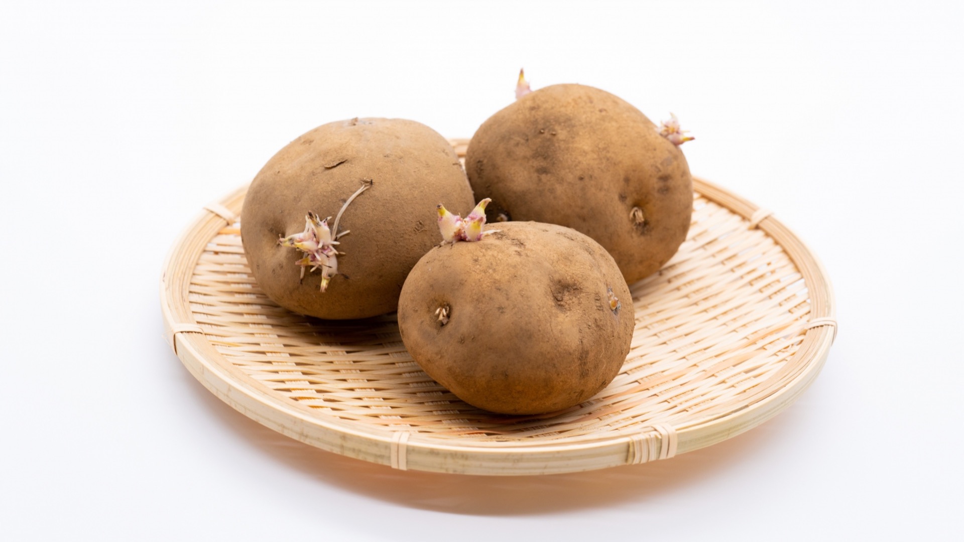 芽が出たじゃがいも - No: 1894020写真素材なら「写真AC」無料 フリー ダウンロードOK