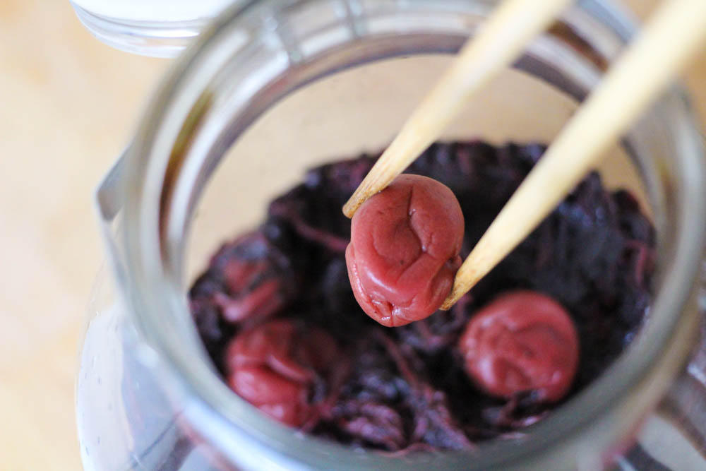 程よい硬さが楽しめる！青梅で漬ける梅干しの作り方とおすすめの活用法梅干し通販店 五代庵