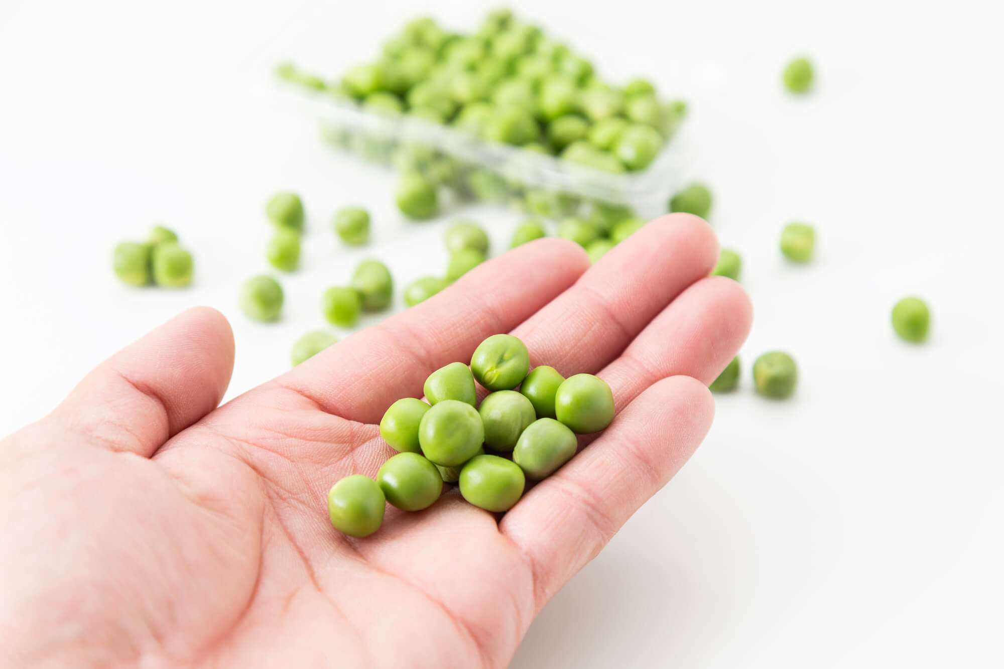 グリーンピースって何の豆？さやえんどう・スナップエンドウとの違いと和歌山との関係性について解説 福BUKURO