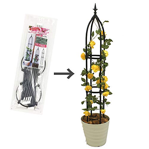 最強のトマト支柱DIYで家庭菜園を成功させよう