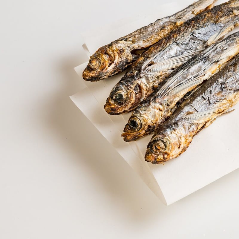 トビウオも釣れる？生態を紐解きトビウオ釣りに挑戦！！調理法も紹介 - 釣りバルーン