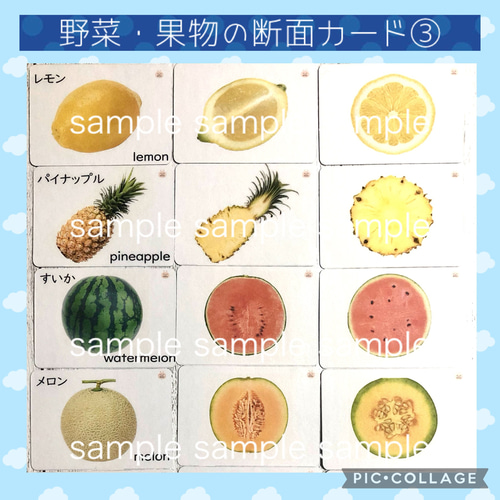 やってみよう！「切り口の形-果物・野菜編」の問題3「のびラボ！」幼児教材・小学校受験・学習プリントのダウンロード販売