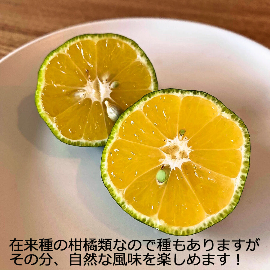 タンカン」から「シークヮーサー」まで沖縄在来のミカンを紹介 – オリオンストーリ