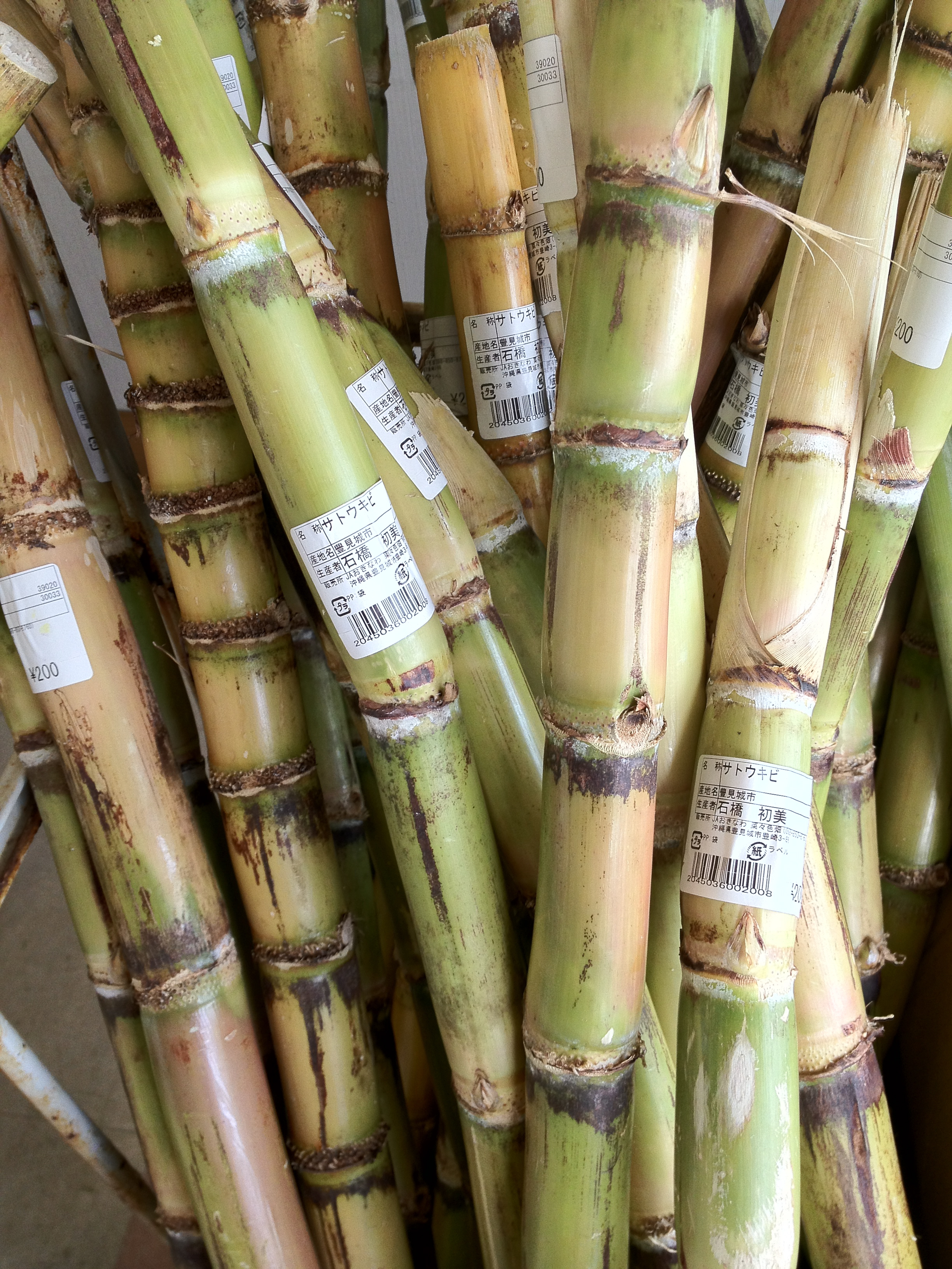 SUGAR CANE シュガーケーン 砂糖黍製 14oz. HAWAII藍混右綾DENIM デニムパンツ ヘアオンハイド