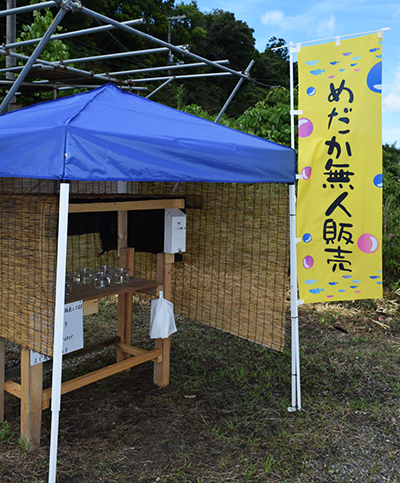 伊丹市 そーっとのぞいてみてごらん♪ の童謡でお馴染みの “○○○無人販売所” が住宅街に出現号外NET 伊丹市 - その他