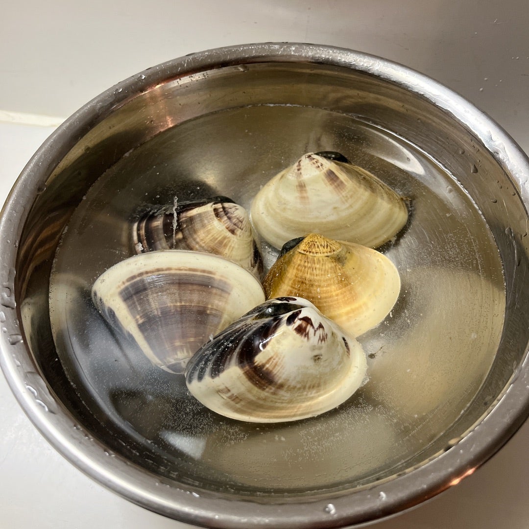 ハマグリの正しい保存方法ご存じですか？ 生のままでもOK？ 二枚貝って冷凍できるの？HugKum はぐくむ