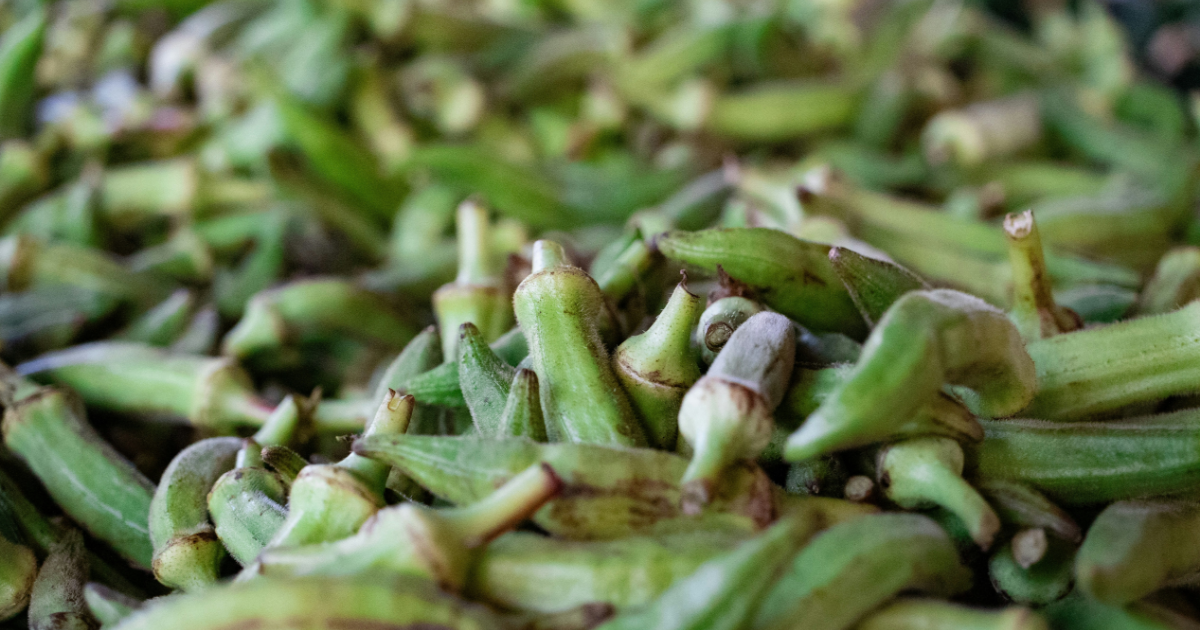 オクラが黒い！斑点がある！？食べても大丈夫？原因と正しい保存方法