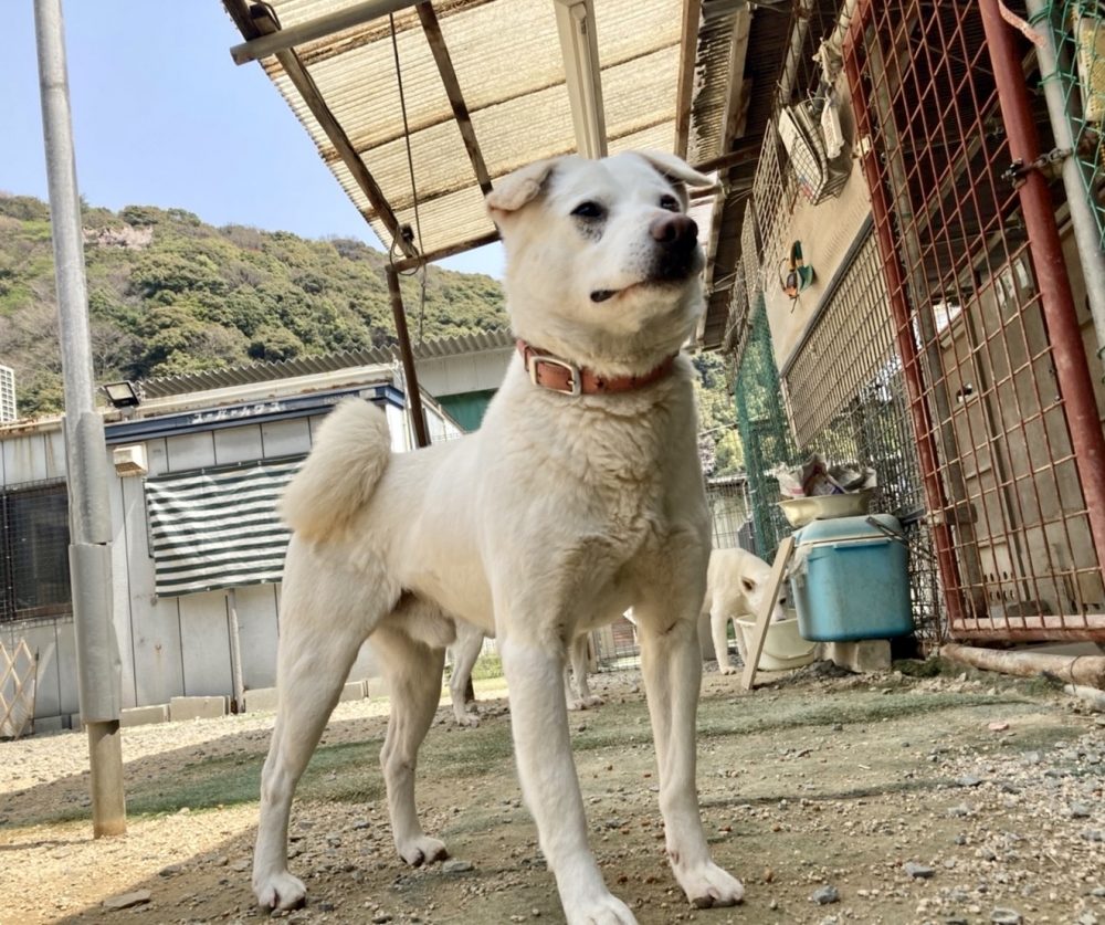 コラボ第2弾「チェリオでモンスト 超生命体祭」開催！チェリオ自販機にて限定アイテムの販売や、特別キャンペーンが盛りだくさん！株式会社チェリオ コーポレーションのプレスリリース