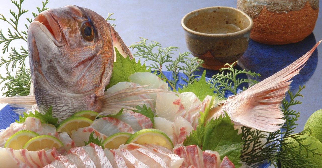 英語での魚 - 英語 with Luke