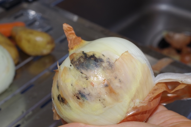 ブロッコリーに白いカビが生えた！食べれる？黄色く変色したり、しぼんだ場合は？言葉のギフト