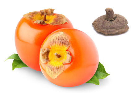 Amazon.co.jp: 柿の蔕かきのへた・してい 柿蔕 原型 500g : 食品・飲料・お酒