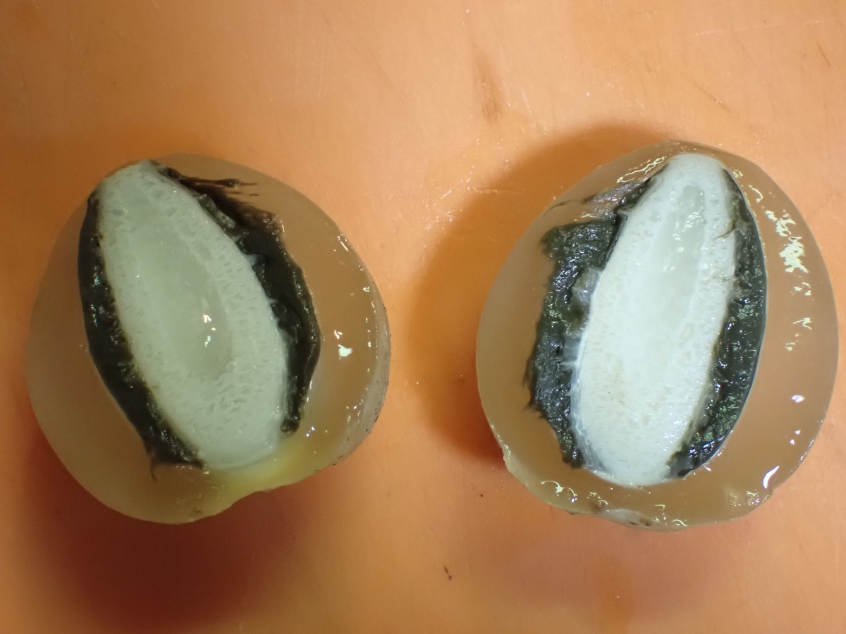 スッポンタケは臭くてクサイが美味しいのか？東京でとって食べる生活