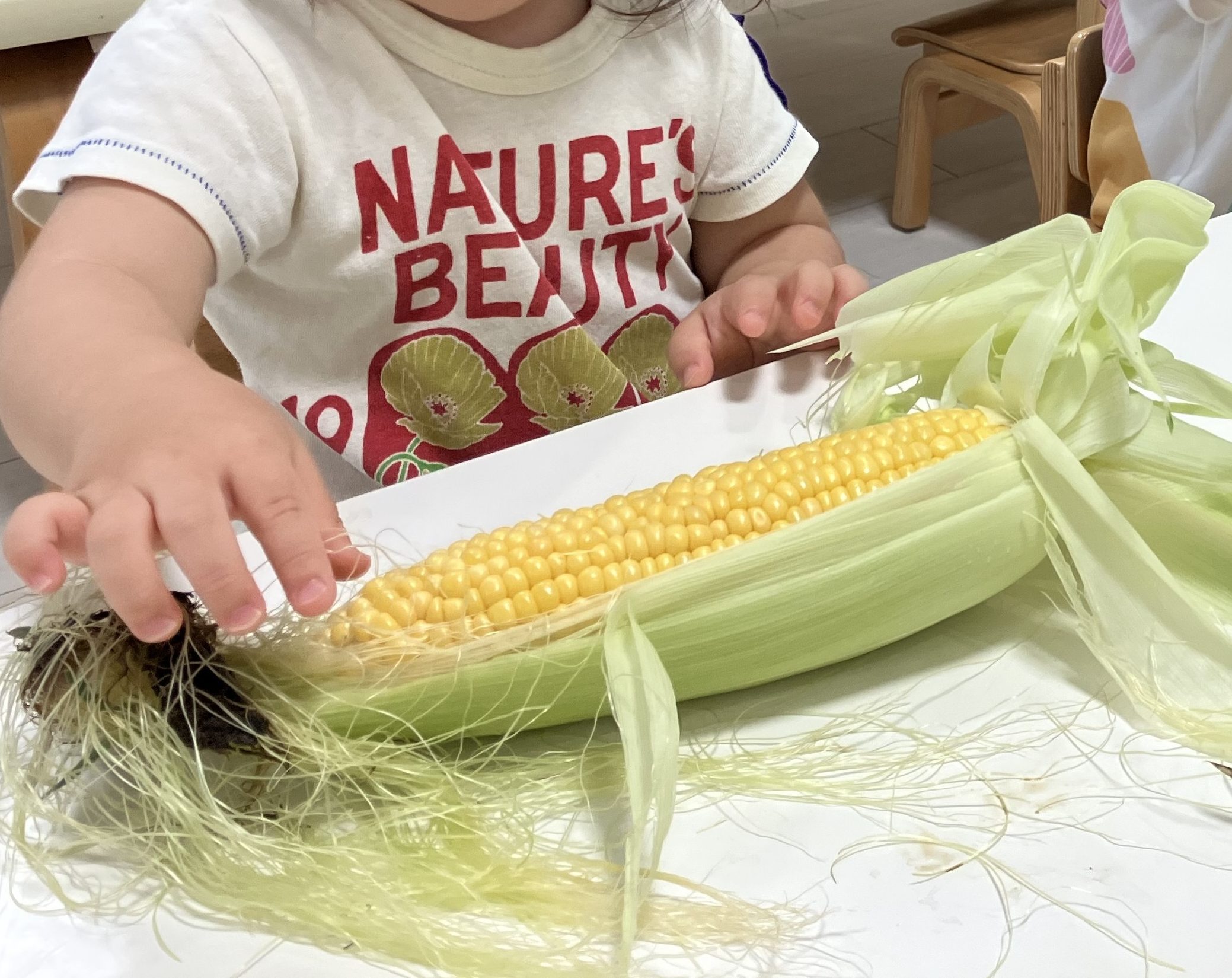 2020.5.7﻿, ﻿,農家さんに聞いた簡単な皮の剥き方🌽 ﻿, ﻿, とうもろこしは皮付きの方が鮮度のもちが良いので﻿,甘みや風味をより楽しみたい方にはオススメ❣️﻿, しかし「皮を剥くのがめんどう😅」て事も ﻿, ﻿, そんな方もそうでない方も農家さんに聞いた﻿,『簡単なとうもろこしの皮剥き🌽』をお試しあれ👍﻿, ﻿, １.穂先を2つに分ける﻿,