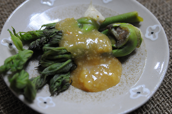 郷土料理 コシアブラのほろほろ、作ってみました♫たぬき女将 郷土料理研究家