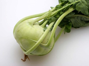 葉菜類,西洋野菜・ハーブ丸種オンラインショップ 野菜種子販売