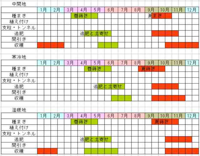 プランター栽培のほうれん草たちも順調です！ぽんぽん農園で無肥料無農薬の自然栽培をしています