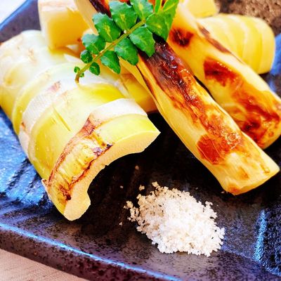 タケノコの煮物を作ろうハチクと鶏肉で筑前煮魚ココロあれば水ココロあり