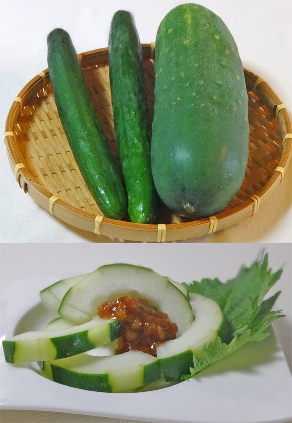 もろきゅう のおすすめの切り方とは？すぐにできるおつまみ集食・料理オリーブオイルをひとまわし