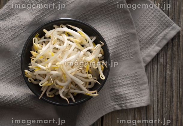 How to grow thick mung bean sprouts