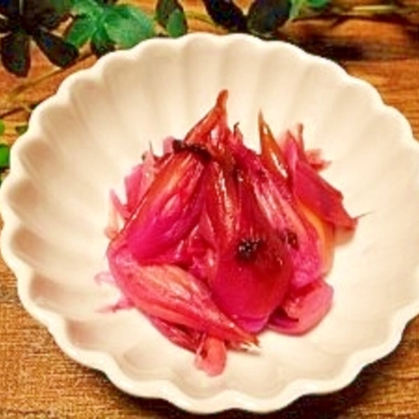 梅仕事・梅干しの作り方もみ紫蘇の作り方～赤しそ梅干し –Organic Recipeオーガニックレシピ