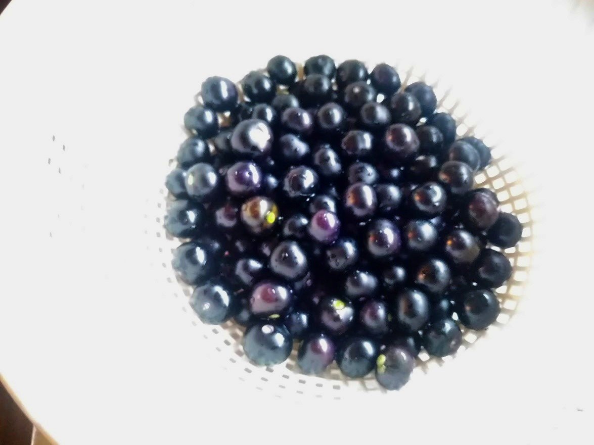 セリアの「使い捨てカレー皿」を全部買ってみます 2種類rooms19