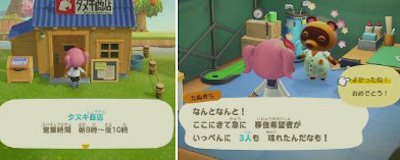 どうぶつの森 森をつくろう！ アセロラ あつ森 アセロラのプロフィールと収録amiibo あつまれ