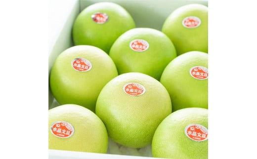 水晶玉子先生のフルーツ・フォーチュン 半期占いFruitfortune Yearly- 占い FortuneSPUR