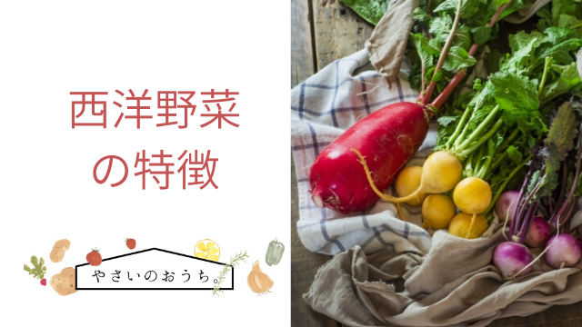 西洋野菜そだて草