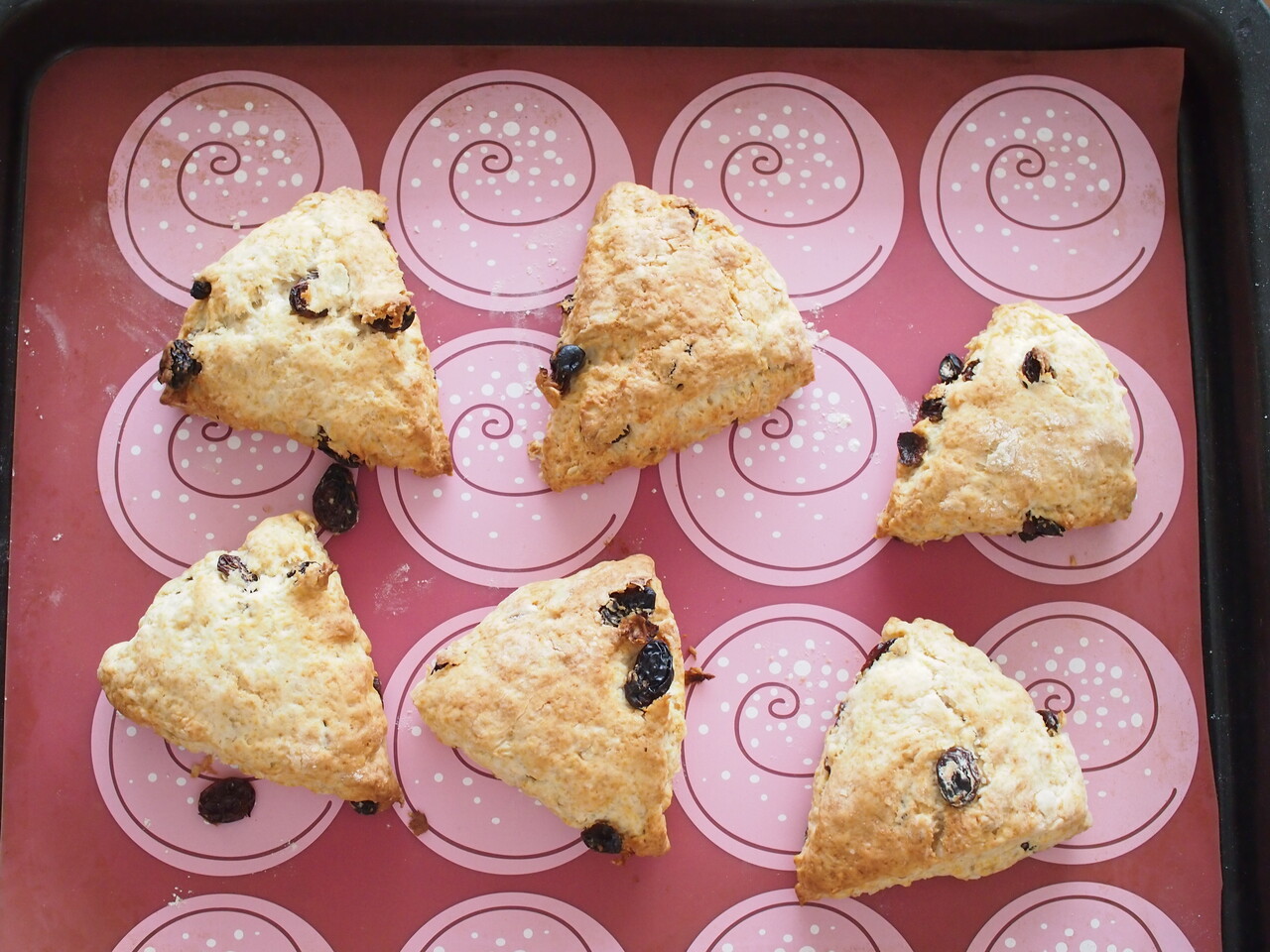 卵・小麦粉不使用！アールグレイ香るオートミールのザクザクスコーンmichill byGMO ミチル