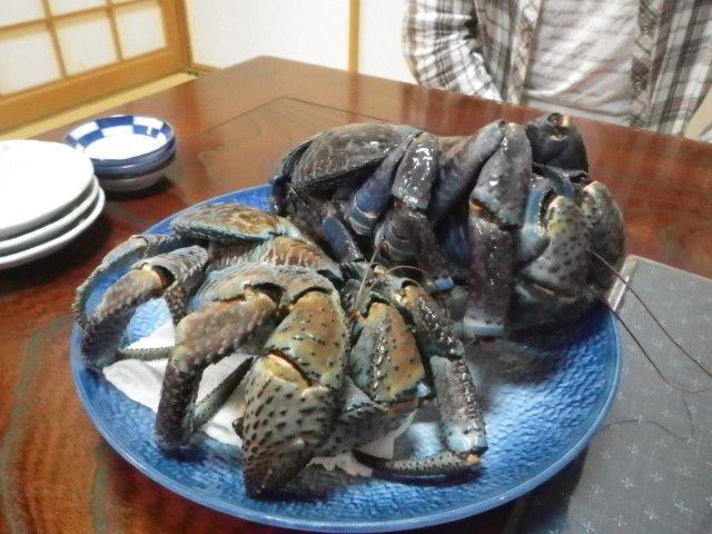 ヤシガニラーメンのふるさと納税 返礼品 検索結果ふるさと納税サイト「ふるなび」