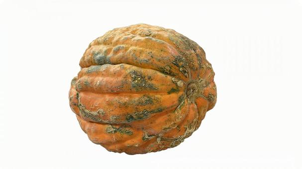 かぼちゃのしょうが煮 緑黄色野菜で腸活！おいしく食べて痩せる！Pumpkin boiled with ginger