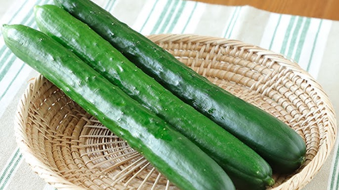龍愛 きゅうりの保存方法＋選び方 by 龍愛recipe☆クックパッド簡単おいしいみんなのレシピが392万品