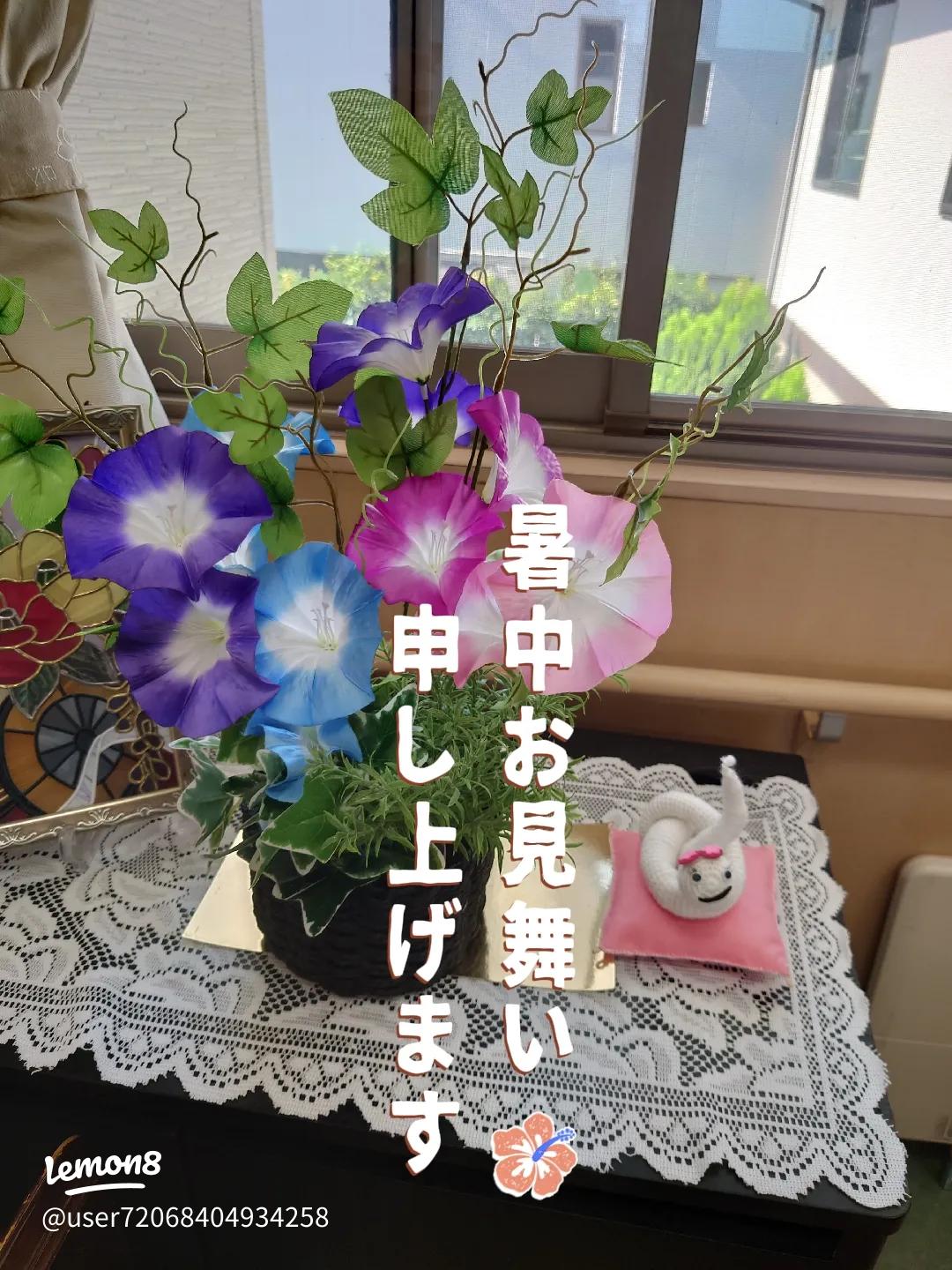 ダイソーの園芸用品１５０円のリング支柱ミニトマト栽培に使ってみた